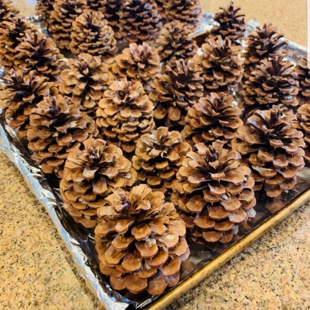 Scented Pinecones